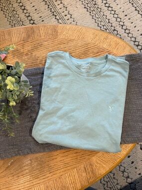 American Eagle Outfitters Men’s Sage Green Crew Neck T-Shirt